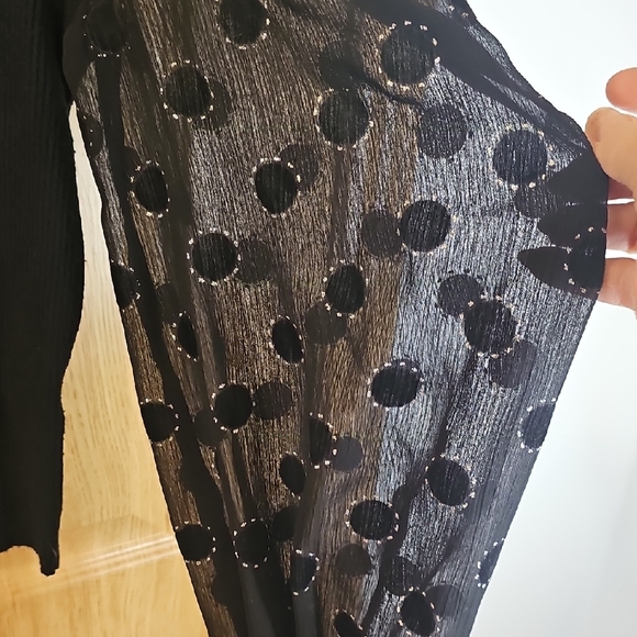 Chic Black Blouse with Sheer Patterned Sleeves - Picture 5 of 7